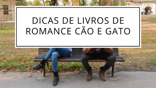 Dicas de livros de romance enemies to lovers